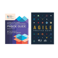PMBOK Guide 7th Edition + Agile Practice Guide – Official PMI Project Management & Agile Combo Bundle – Business & Management
