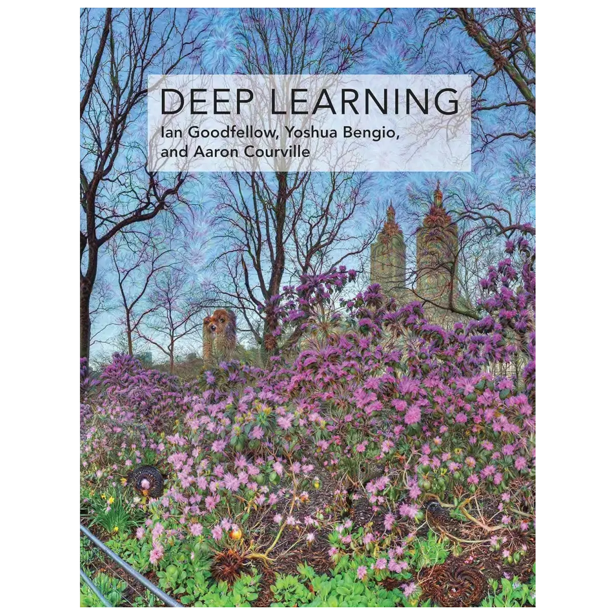 Deep Learning (Adaptive Computation and Machine Learning series) – Hardcover – ISBN: 9780262035613 – Computer Science & IT bo